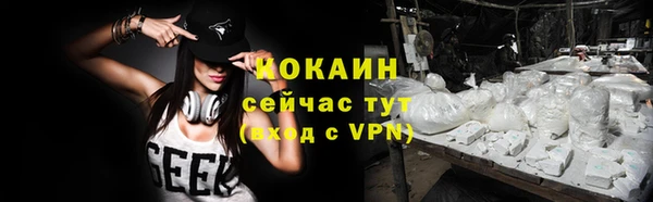 амф Сосновка