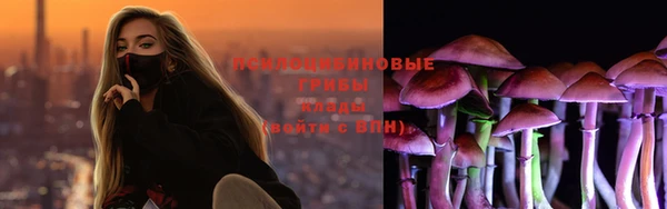 соль ск Порхов