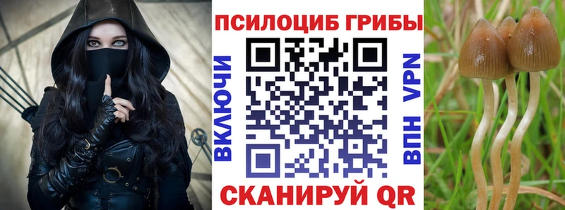 Псилоцибиновые грибы Psilocybe  Усолье 